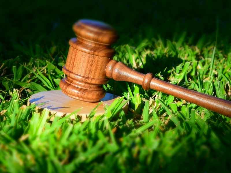 Estudo revela como decisões judiciais afetam o Cerrado
